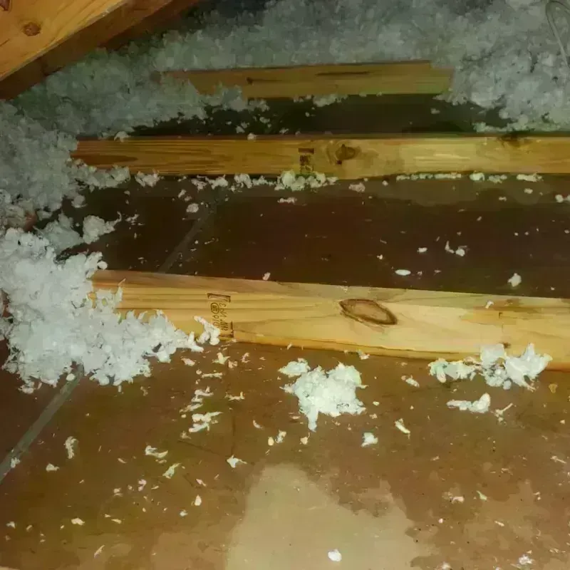 Attic Water Damage in Park View, IA