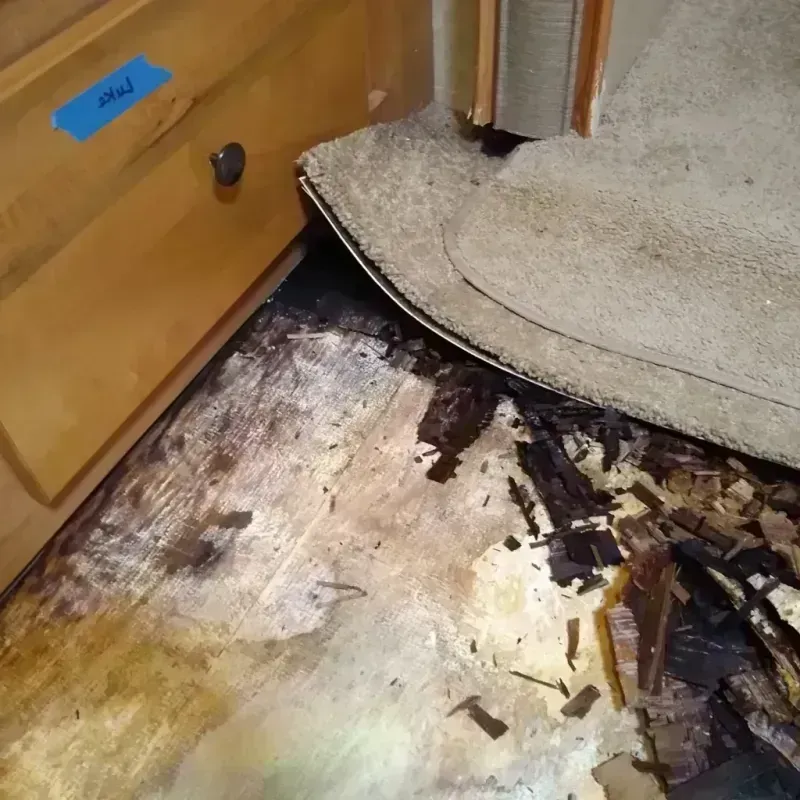 Best Wood Floor Water Damage Service in Park View, IA